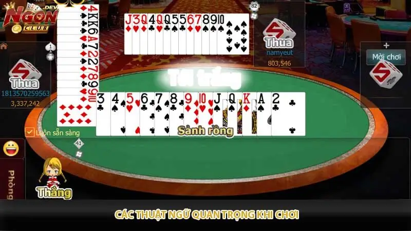 Các thuật ngữ quan trọng khi chơi